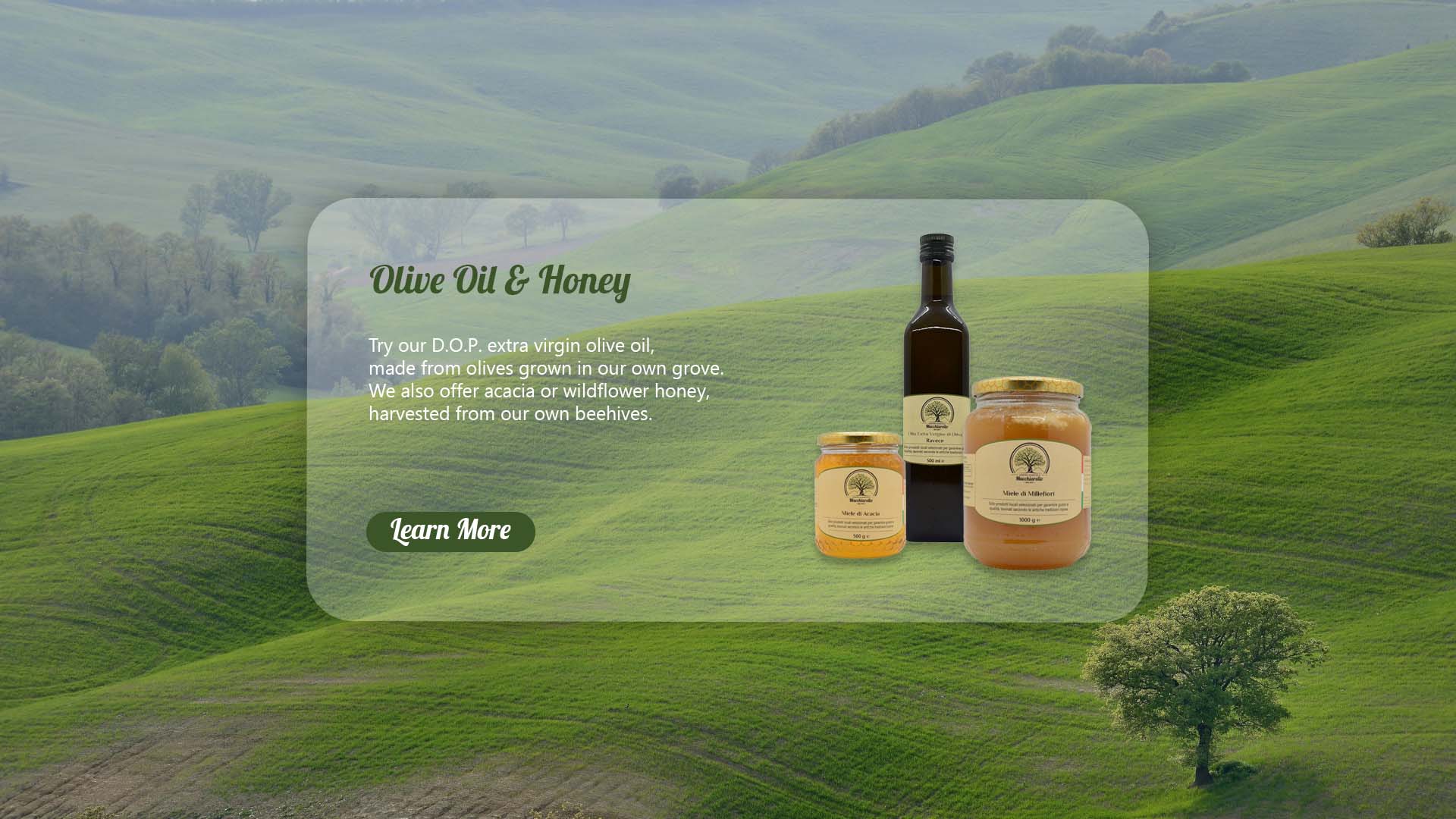 Olive Oil and Honey