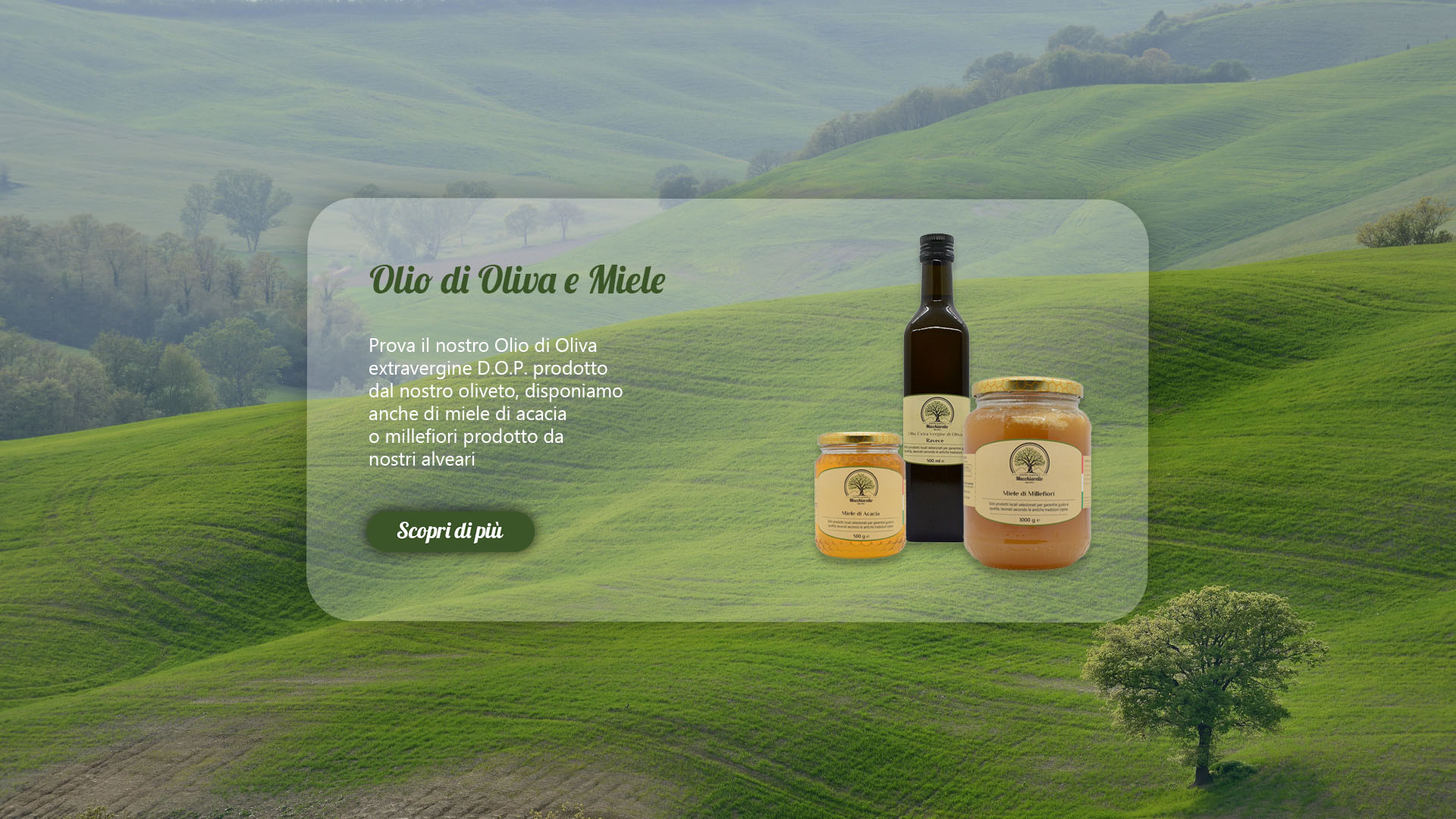 Olio di oliva e miele