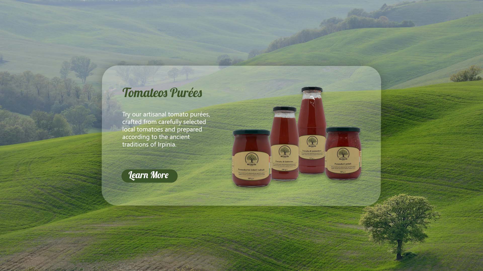 Tomatoes Purees
