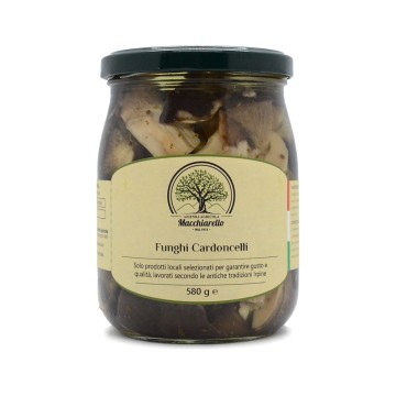 Funghi Cardoncelli
