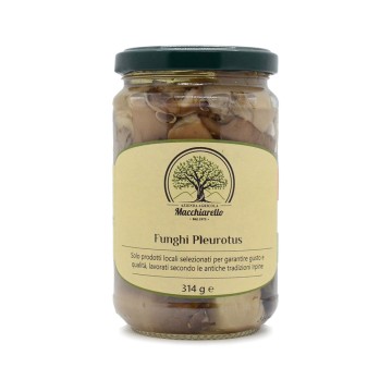 Funghi Pleurotus