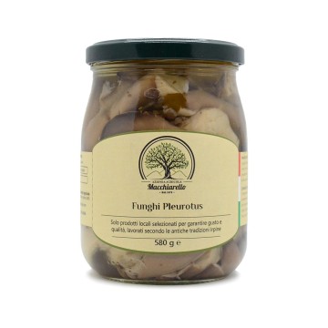 Funghi Pleurotus