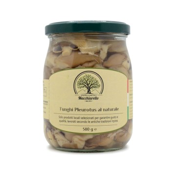 Funghi Pleurotus al naturale