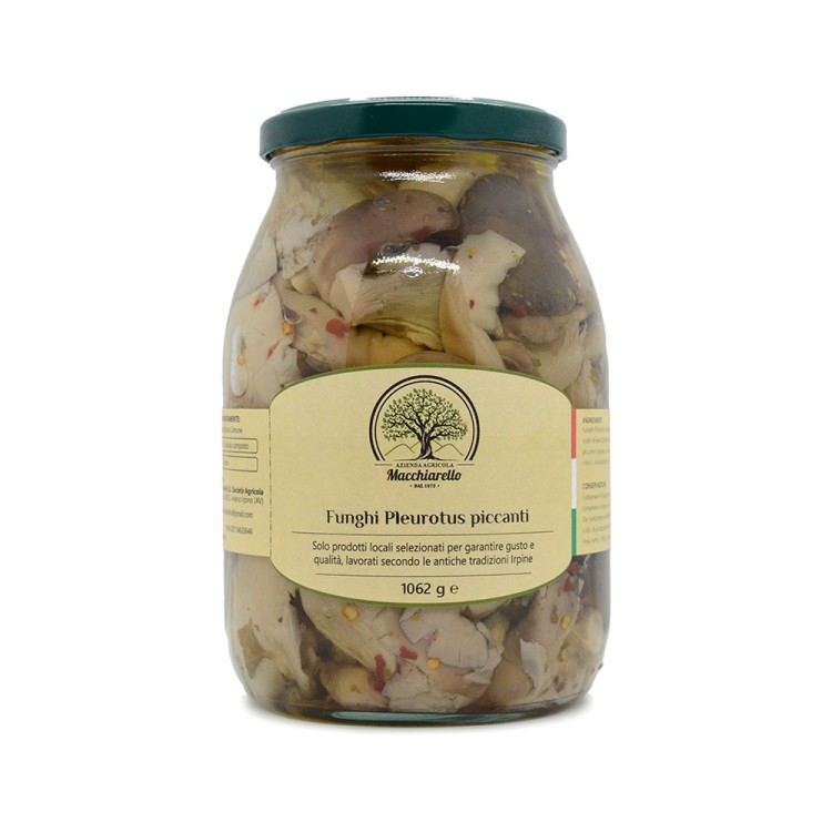 Funghi Pleurotus piccanti