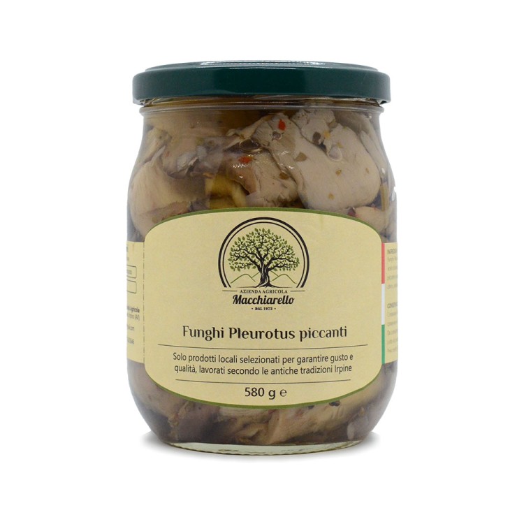 Funghi Pleurotus piccanti